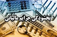 مهلت بخشودگی جرایم مالیاتی تا سقف ۷۰۰ میلیون تومان تا ۱۴ اسفند تمدید شد