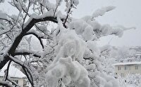 بارش ۱۰ سانتی‌متری برف در تویسرکان