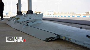 صید MQ-۹ به دست صیادان دیری