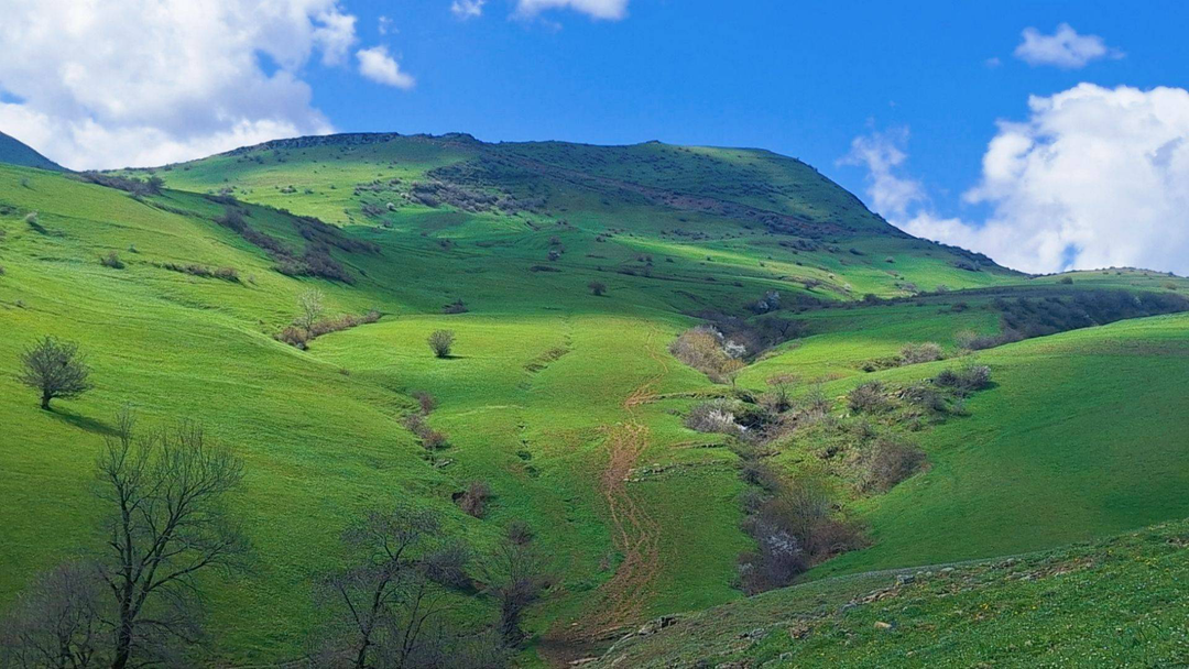 افزایش دما از فردا در اردبیل افزایش دما از فردا در اردبیل