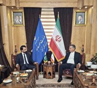 حمایت وزارت امور خارجه از گسترش همکاری های دو کشور ایران و پاکستان