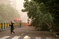 وزش باد شدید و گردوخاک در تهران