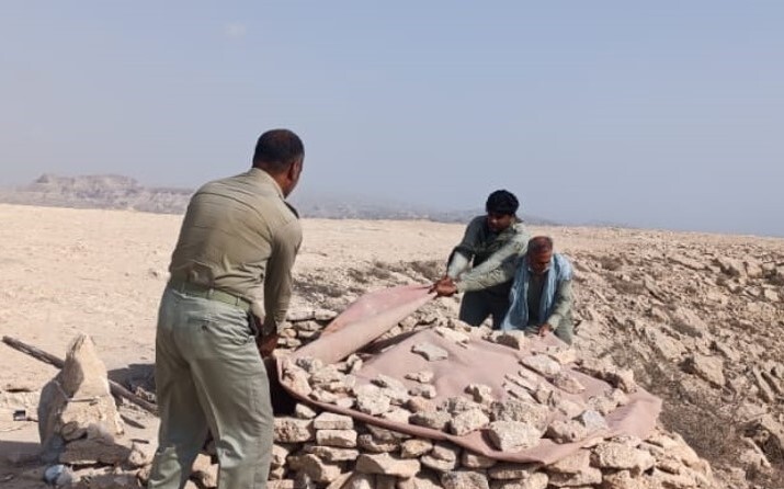 دستگیری متخلف شکار صید در بندرلنگه دستگیری متخلف شکار صید در بندرلنگه