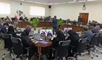 تأکید شورای راهبردی بر حکمرانی نوین منابع طبیعی