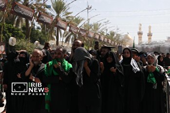 کربلا در روز اربعین؛ میعادگاه میلیون‌ها دلداده حسینی