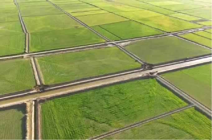 مشوق‌های اقتصادی برای تجمیع اراضی